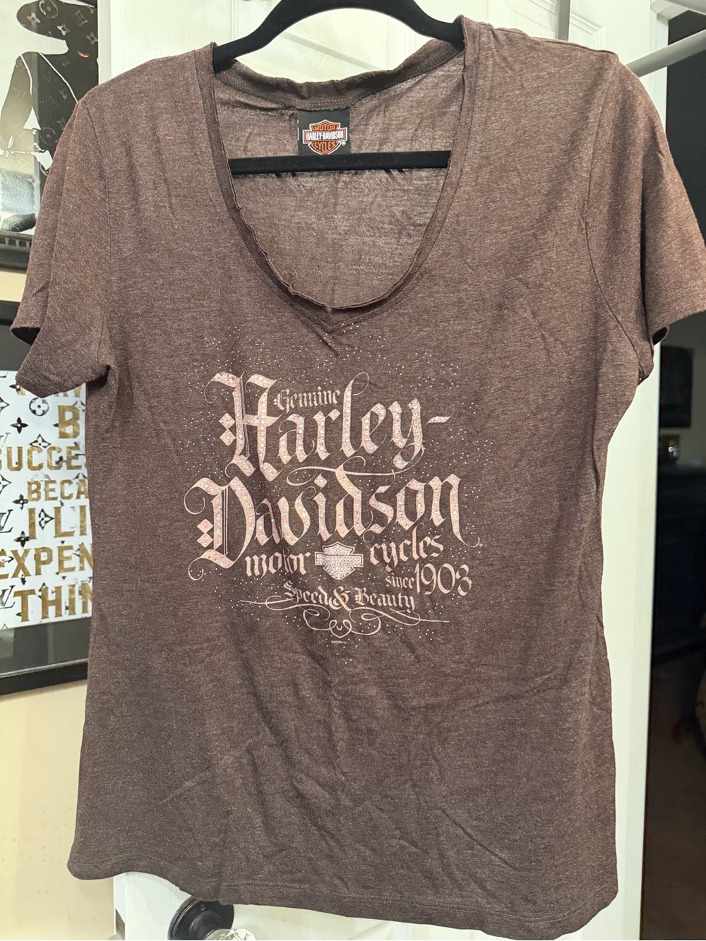 Harley-Davidson Women's Brown Graphic Tee